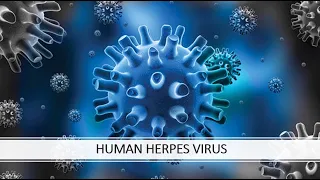 HUMAN HERPES VIRUS