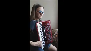 Shawn Mendes, Camila Cabello - Señorita (accordion cover)