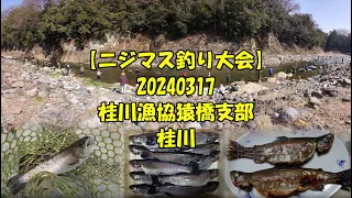 【ニジマス釣り大会】20240317 桂川漁協猿橋支部 桂川