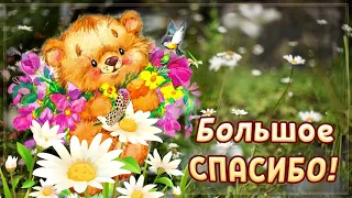 Спасибо большое! Видео открытка с благодарностью. Милый голос.