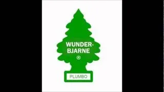 Plumbo-Wunder Bjarne