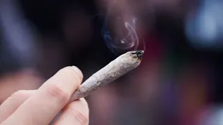 "Je suis très sceptique" : en Allemagne, la possible légalisation du cannabis récréatif divise