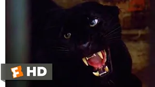 Cat People (1982) - Vicious Leopard Scene (3/10) | Movieclips