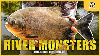 River MONSTERS fantastici e dove trovarli | PESCA SPINNING #Predatorzone | @Rapturelures