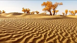 Location Gobi and taklamakan desert 🏜, #youtubeshorts #shorts