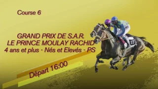 COURSE 6 : GPX SAR LE PRINCE MOULAY RACHID_17 MARS 2017