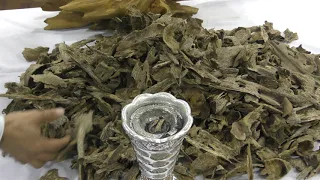 Double Super Vietnamese Agarwood