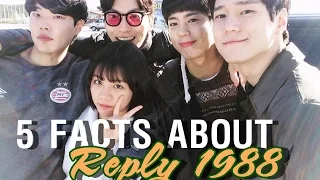 Reply 1988 || 5 Facts That You Might Don't Know