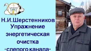 Шерстенников. Упражнение "Энергетическая очистка «слепого канала»" показывает Н.И. Шерстенников.