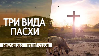 #1 Три вида Пасхи - Алексей Осокин - Библия 365 (3 сезон)