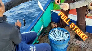 Amazing Traditional Fishing Longline Catching Big Fish | Net Fishing on The Sea