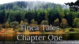 Tinca Tales | Chapter One | Tench fishing | Feeder fishing | How to target Tench