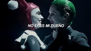 "you don't own me, i'm not just one of your many toys" || harley quinn (sub español)