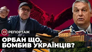 Що на Закарпатті думають про політику Угорщини та Орбана? | УП. Репортаж