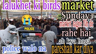 lalukhet ki birds market .. pareshan ho Gaye market lag na Nh de Raha hai sub log pareshan ...🥲🥹😭...