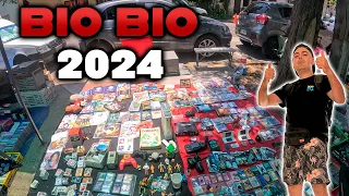 Persa BIO BIO 2024 El Mejor Destino de SANTIAGO Dog Tv Chile