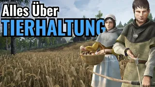 Medieval Dynasty //(Alle was du über Tierhaltung wissen musst)Gameplay Deutsch Ps5 #007