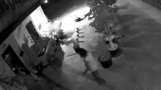 Surveillance video captures thief stealing plants