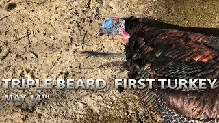 Triple Beard | First Turkey | Spring Thunder