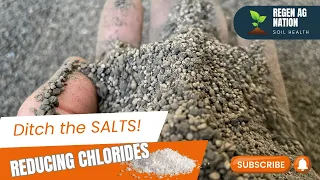 Ditch the Salts & Chlorides! How Natural Fertilizers Enhance Soil Health & Crop Vitality