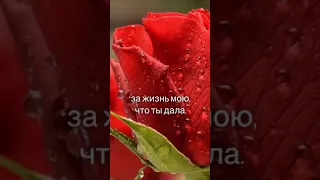 Поздравление маме.  С Днём рождения