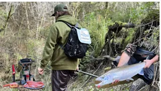 TROPHY Winter Steelhead fishing (catch and cook)