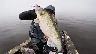 !!!!СТОЯНКА МАМОЧОК ЗНАЙДЕНА !!!! Старий робочий селікон не підвів, Ловля пасивного СУДАКА