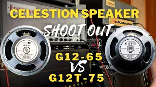 Celestion speker SHOOTOUT  G12-65 vs G12T-75