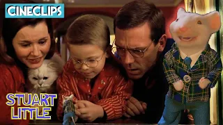 Stuart Returns Home (End Scene) | Stuart Little | CineClips