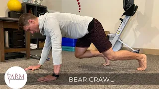 Bear Crawl -  DNS 11-12 Month Exercise