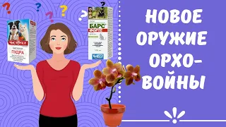 В войне с клещом на орхидеях ВСЕ средства хороши?!