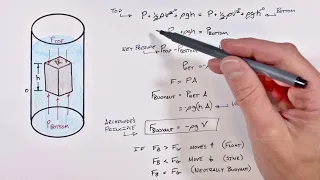 Archimedes Principle and Buoyant Force Explained Using Fluid Pressure and Bernoulli's Law