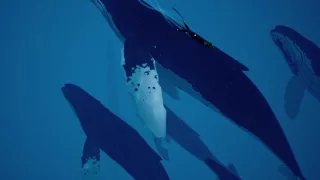 Abzu whale sequence