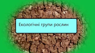 Відео-урок на тему Екологічні групи рослин