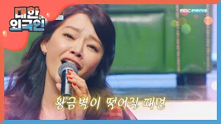 온몸에 전율이 쫘아아아악~ 김소현의 '황금별'♬ l #대한외국인 l EP.85