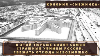 Сбежать не смог никто. Как сидят в колонии "Снежинка"?