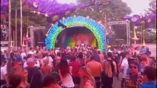 Psychedelic Experience Festival 2014 - GERMANY