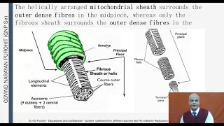 Semen and its composition in male domestic animals I Veterinary Andrology I VGO Unit3 I GNP Sir