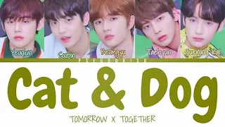 TOMORROW X TOGETHER (투모로우바이투게더) ‘Cat & Dog’ Lyrics (Color Coded Lyrics) [Han/Rom/Eng]