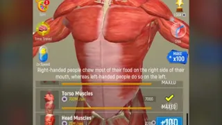 Idle Human - Learn about the human body through a Game !