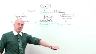 29  Approach to Cough