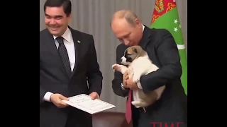 Putin's Extraordinary Alpha Male Walk