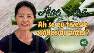 ALOE VERA - Ah se eu tivesse conhecido os benefícios da Aloe Vera quando era bem jovem