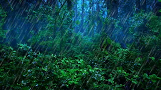 Rainforest Thunderstorm Sounds for Sleep | 10-Hour Rain and Thunder Ambience