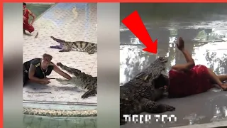 Crocodile attack on stunt man while showing crocodile stunt[CROCODILE  ATTACK  HUMAN]