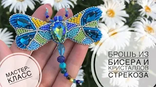Мастер-класс по изготовлению броши из бисера и кристаллов Стрекоза | crystal dragon-fly brooch DIY