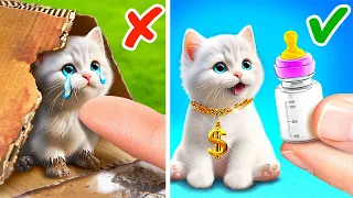 Don't Cry Tiny Kitten!😿  * I Built The Home For My Pet*