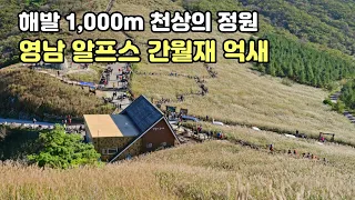 [간월재 억새평원 - 가을마다 인기 급상승하는 해발 1,000m 천상의 정원] 젊은이들의 선호도 1위 가을 인기 핫스팟 간월재 억새평원 산행 및 코스정보 총정리