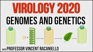 Virology Lectures 2020 #3: Genomes and Genetics