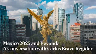 Mexico 2025 and Beyond: A Conversation with Carlos Bravo Regidor